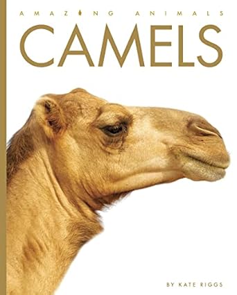camels 1st edition kate riggs 1682770966, 978-1682770962