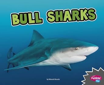 bull sharks 1st edition deborah nuzzolo 1515770109, 978-1515770107