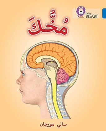 collins big cat arabic your brain level 16 1st edition collins uk 0008156727, 978-0008156725