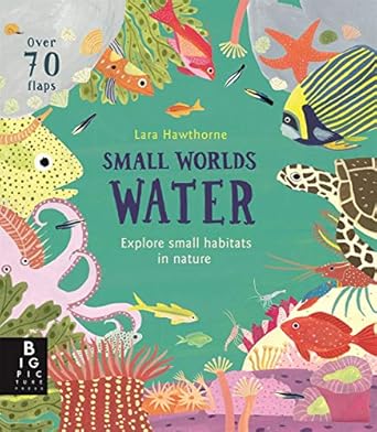 small worlds water 1st edition lily murray 1787415627, 978-1787415621