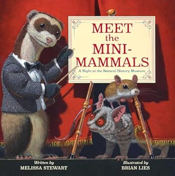 meet the mini mammals a night at the natural history museum 1st edition melissa stewart ,brian lies