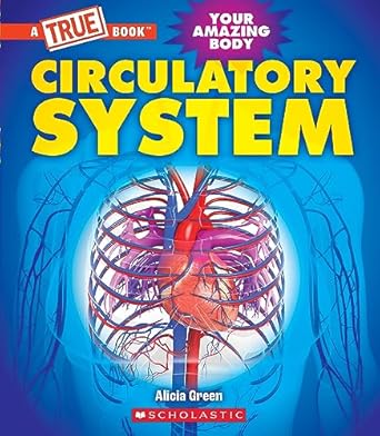 circulatory system 1st edition alicia green 1339020947, 978-1339020945