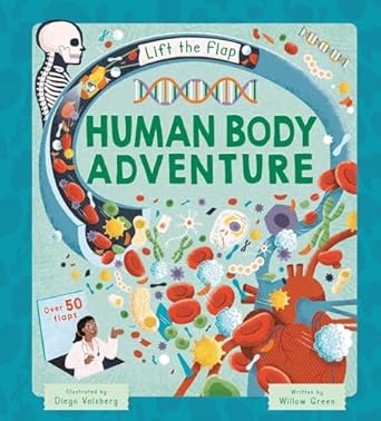 lift the flap human body adventure with over 50 flaps 1st edition igloobooks ,willow green ,diego vaisberg