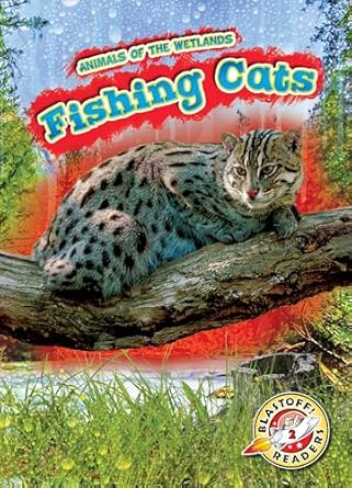 fishing cats 1st edition karen latchana kenney 1644874172, 978-1644874172