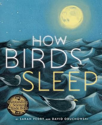 how birds sleep 1st edition david obuchowski ,sarah pedry 1662650973, 978-1662650970