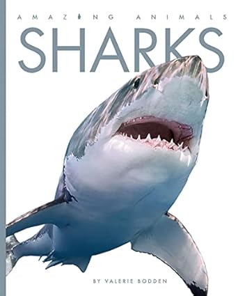 sharks 1st edition valerie bodden 1628327715, 978-1628327717
