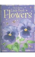 the usborne little book of flowers internet linked 1st edition laura howell 0794510868, 978-0794510862