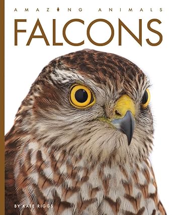falcons 1st edition kate riggs 1682771180, 978-1682771181