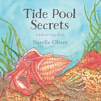 tide pool secrets 1st edition narelle oliver 0763691593, 978-0763691592