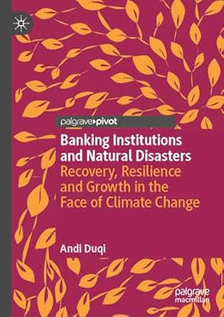 banking institutions and natural disasters recovery resilience and growth in the face of climate change 1st