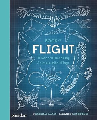 book of flight 10 record breaking animals with wings 1st edition gabrielle balkan ,sam brewster 0714878634,
