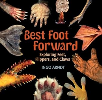 best foot forward exploring feet flippers and claws 1st edition ingo arndt 0823431851, 978-0823431854
