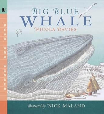big blue whale read and wonder 1st edition nicola davies ,nick maland 0763610801, 978-0763610807