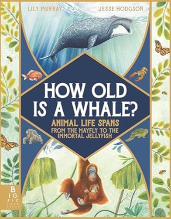 how old is a whale animal life spans from the mayfly to the immortal jellyfish 1st edition lily murray ,jesse