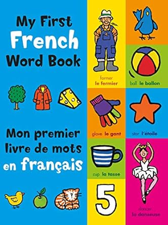 my first french word book 1st edition mandy stanley 0753459981, 978-0753459980