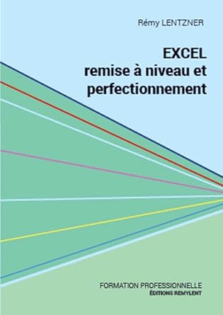 excel remise a niveau et perfectionnement 1st edition remy lentzner 2955769436, 978-2955769430