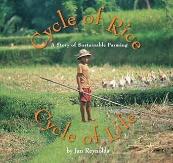 cycle of rice cycle of life a story of sustainable farming 1st edition jan reynolds 1620140780, 978-1620140789
