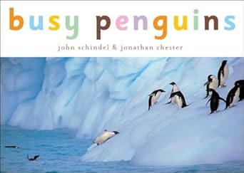 busy penguins 1st edition john schindel ,jonathan chester 1582460167, 978-1582460161