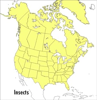 a peterson field guide to insects america north of mexico 1st edition donald j borror ,roger tory peterson