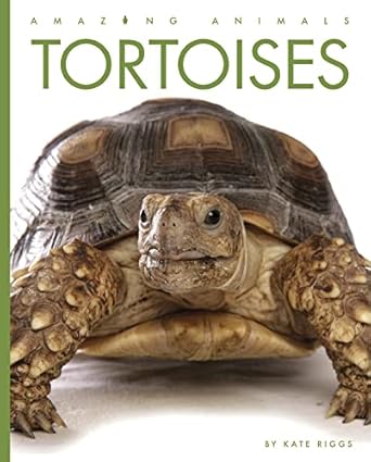 tortoises 1st edition kate riggs 1682771091, 978-1682771099