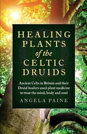 healing plants of the celtic druids 1st edition angela paine 1785355546, 978-1785355547