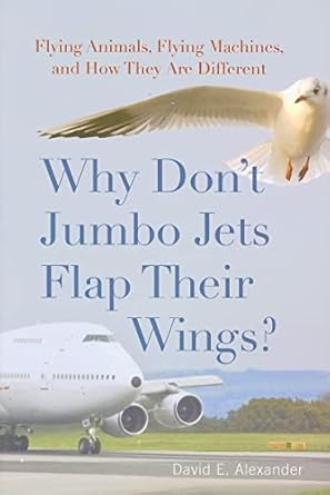 why dont jumbo jets flap their wings flying animals flying machines and how they are different 1st edition