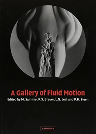 a gallery of fluid motion 1st edition m samimy ,k s breuer ,l g leal ,p h steen 052153500x, 978-0521535007