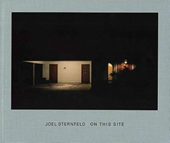 joel sternfeld walking the high line 1st edition joel sternfeld 3865219829, 978-3865219824