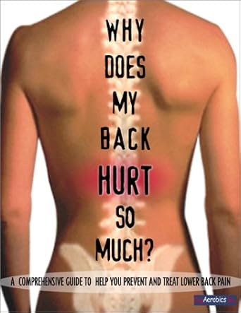 why does my back hurt so much 1st edition mark amir ,perry bonomo 0966409019, 978-0966409017