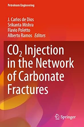 co2 injection in the network of carbonate fractures 1st edition j carlos de dios ,srikanta mishra ,flavio