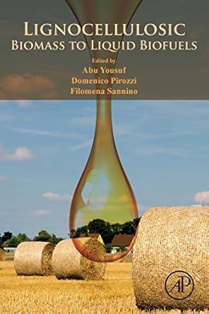 lignocellulosic biomass to liquid biofuels 1st edition abu yousuf ,filomena sannino ,domenico pirozzi