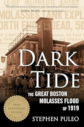 dark tide the great boston molasses flood of 1919 1st edition stephen puleo 080707800x, 978-0807078006