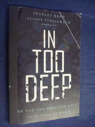 in too deep bp and the drilling race that took it down 1st edition stanley reed ,alison fitzgerald