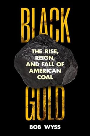 black gold the rise reign and fall of american coal 1st edition bob wyss 0520391780, 978-0520391789