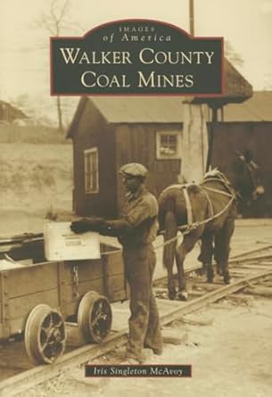 walker county coal mines 1st edition iris singleton mcavoy 1467114960, 978-1467114967