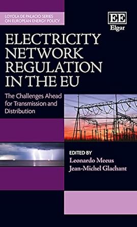 electricity network regulation in the eu the challenges ahead for transmission and distribution 1st edition