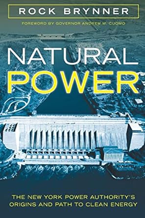 natural power the new york power authoritys origins and path to clean energy 1st edition rock brynner ,andrew