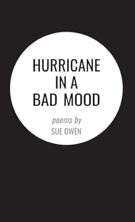 hurricane in a bad mood 1st edition sue owen 1959569171, 978-1959569176
