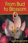 from bud to blossom 1st edition gail saunders smith 1560659513, 978-1560659518
