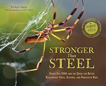 stronger than steel spider silk dna and the quest for better bulletproof vests sutures and parachute rope 1st