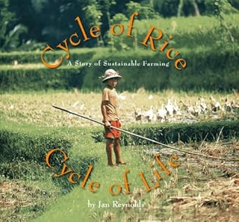 cycle of rice cycle of life a story of sustainable farming 1st edition jan reynolds 1600602541, 978-1600602542