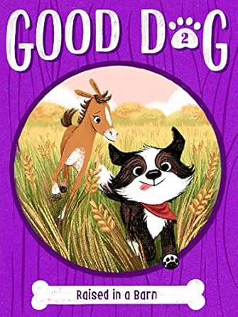 raised in a barn 1st edition cam higgins ,ariel landy 1534479031, 978-1534479036