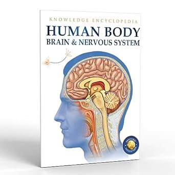 human body brain and nervous system 1st edition wonder house books 9389931258, 978-9389931259