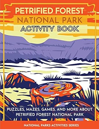 petrified forest national park activity book puzzles mazes games and more about petrified forest national