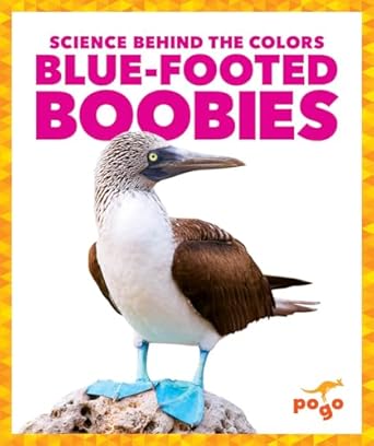 blue footed boobies 1st edition alicia z klepeis 1645275752, 978-1645275756