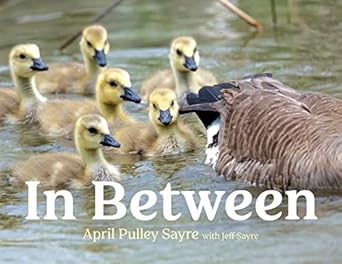 in between 1st edition april pulley sayre ,jeff sayre 1534487816, 978-1534487819
