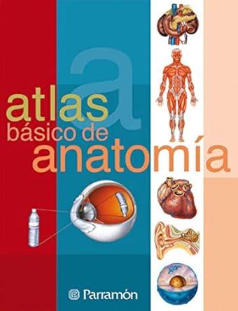 atlas basico de anatomia 1st edition adolfo cassan ,antonio munoz tenllado 8434223147, 978-8434223141