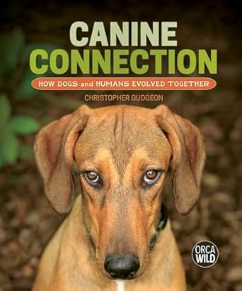 canine connection how dogs and humans evolved together 1st edition christopher gudgeon 1459839498,