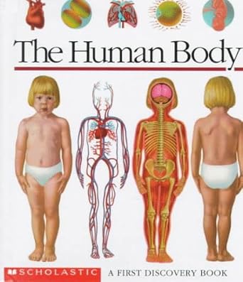 the human body a first discovery book 1st edition sylvaine perols ,gallimard jeunesse 0590738763,