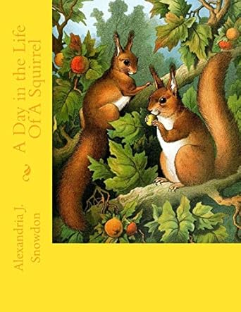 a day in the life of a squirrel 1st edition alexandria j snowdon 1519399979, 978-1519399977